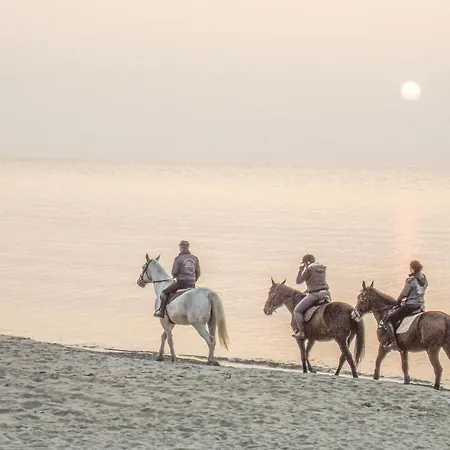 Olszynowa Ii * Rewal