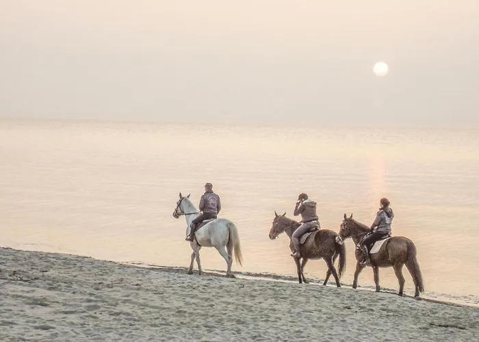 Olszynowa Ii * Rewal